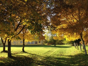 Villa Luka, onze werkplek